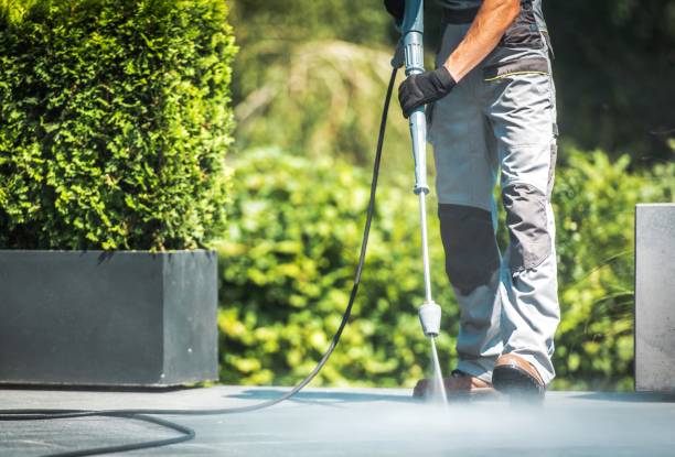 Best Sidewalk and Walkway Cleaning  in Norfolk, NE